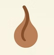 Coily Follicle